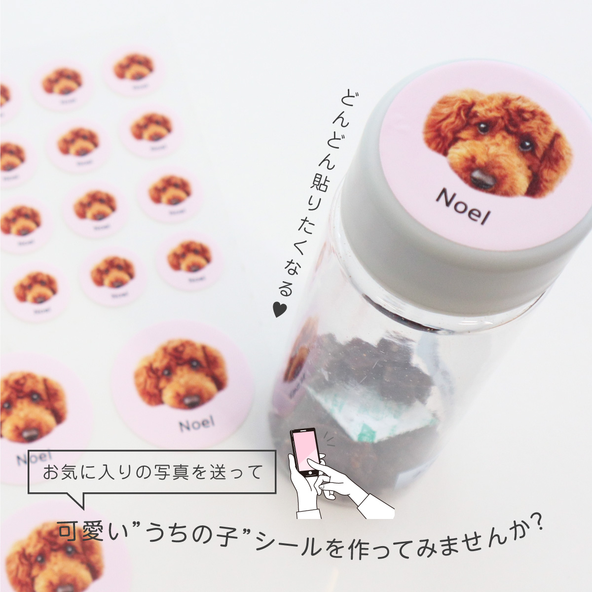 写真を送るだけ