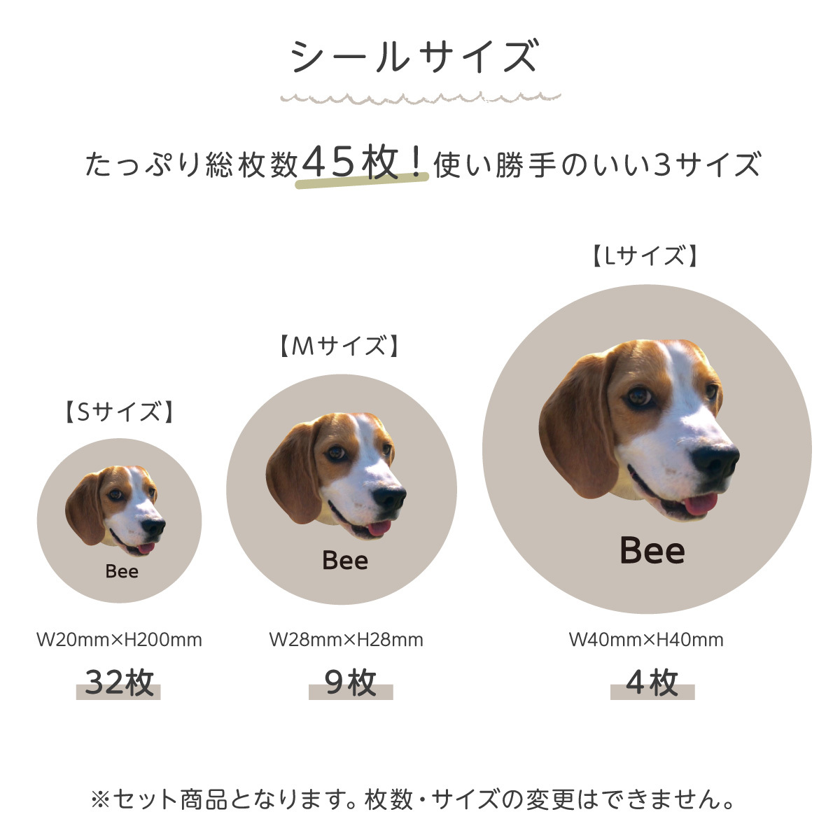 サイズ