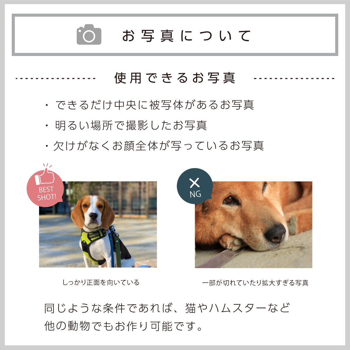 お写真について