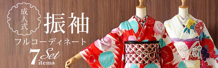 (あ967)アンティーク振袖㊗️白黒ボーダーの青海波 祝い柄模様の片輪 ④点セット 正絹 留袖 レンタル 5紋 120076 青海波に貝桶