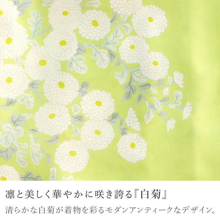 召しませ花 セオα] 着物 単衣 白菊 (イエロー) 洗える着物 涼花 東レ