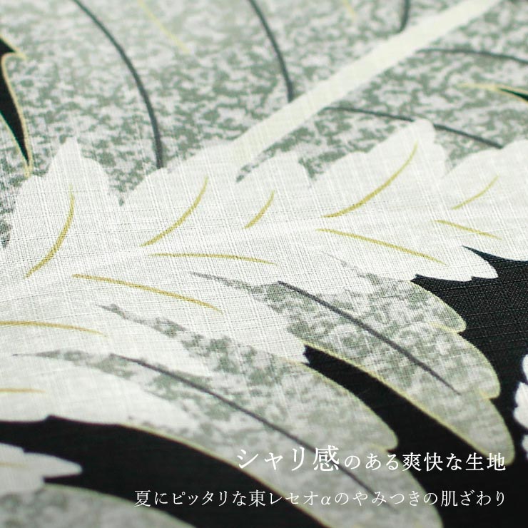 召しませ花 セオα] 着物 単衣 シダ (黒) 洗える着物 涼花 東レ 単衣