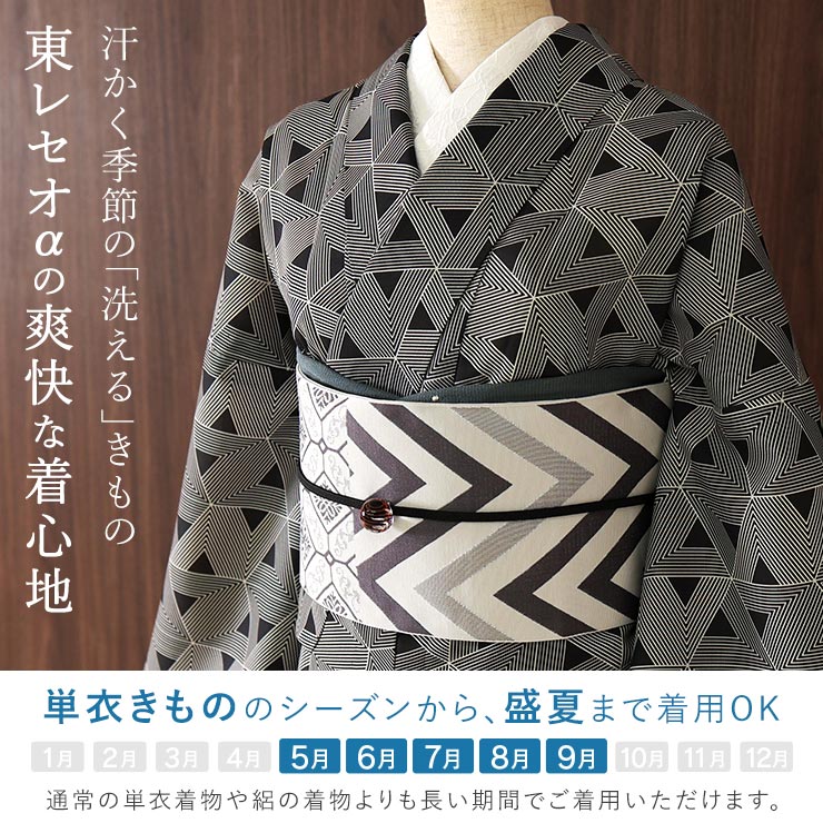 召しませ花 セオα] 着物 単衣 ジオメトリー (墨黒) 洗える着物 涼花