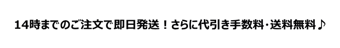 撫松庵名古屋帯