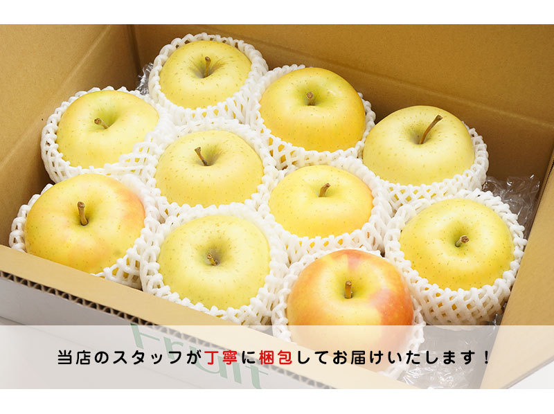ぐんま名月 りんご 青森 9-11玉 約3kg 3kg 群馬名月 ギフト 贈答