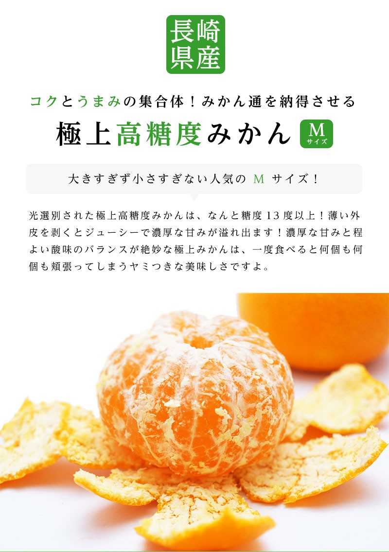 長崎県産 西海 味っ子みかん Mサイズ 約5kg 味っ子 みかん 送料無料