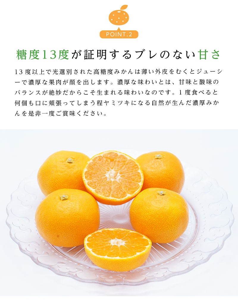 長崎県産 西海 味っ子みかん Mサイズ 約5kg 味っ子 みかん 送料無料