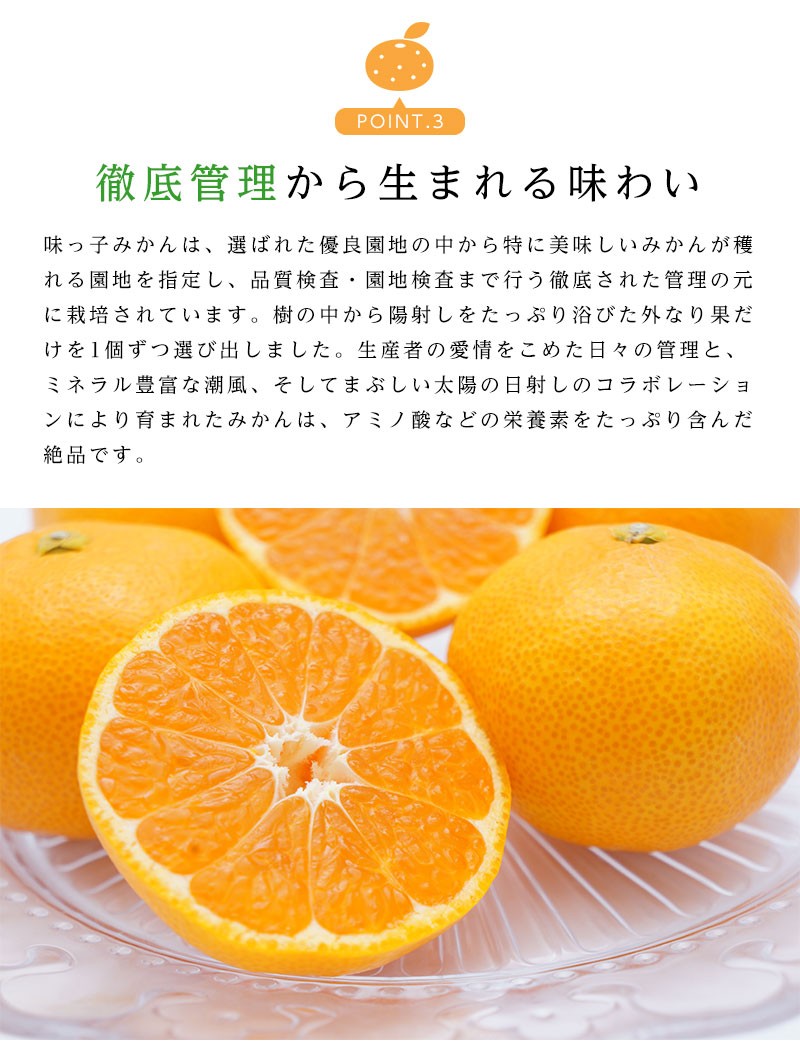 長崎県産 西海 味っ子みかん Mサイズ 約5kg 味っ子 みかん 送料無料