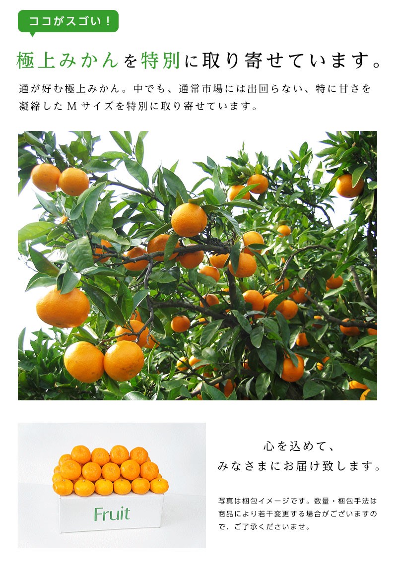 長崎県産 西海 味っ子みかん Mサイズ 約5kg 味っ子 みかん 送料無料