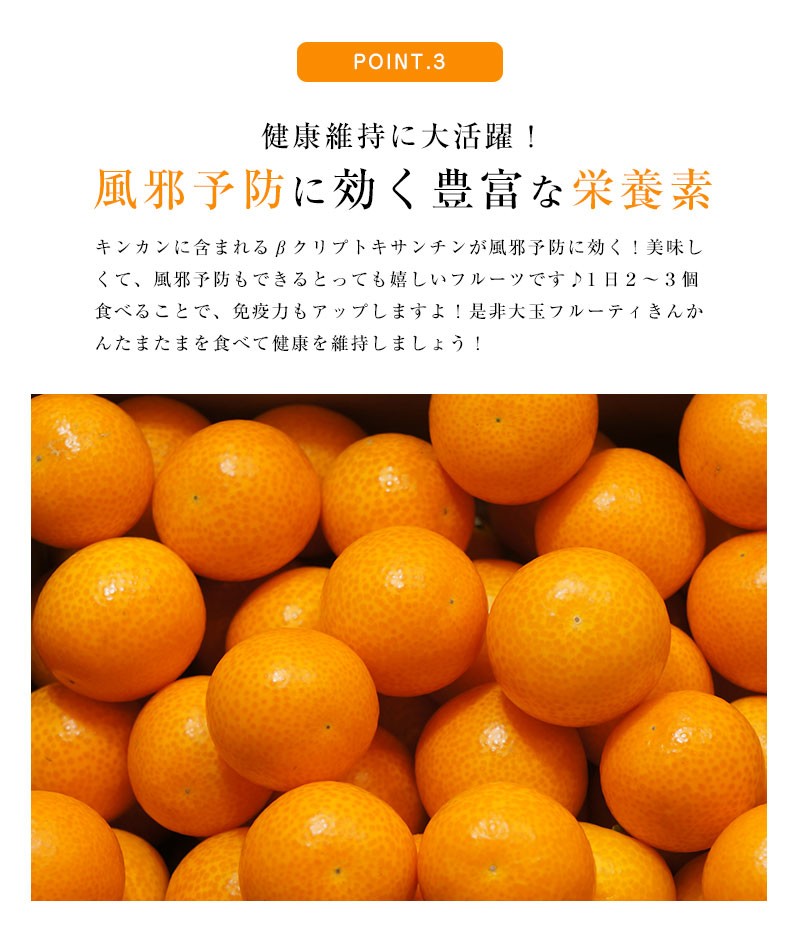 送料無料 宮崎県産 完熟きんかん たまたま2Lサイズ 約800g 完熟