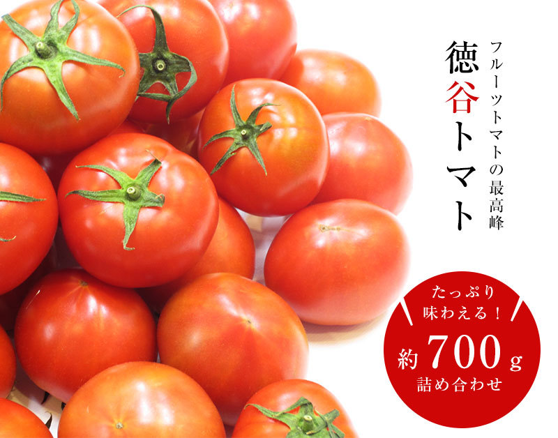 高知県 徳谷トマト フルーツトマト　送料無料 4k 送料無料 高知県産 徳谷トマト約700g フルーツフルーツトマト
