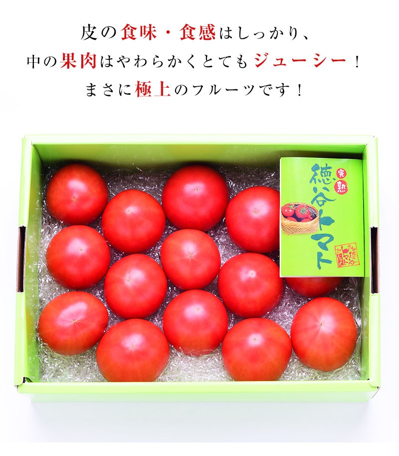 高知県産 徳谷トマト フルーツトマト クール送料無料 約4k 高知県産 徳谷トマト フルーツトマト クール送料無料 約4k