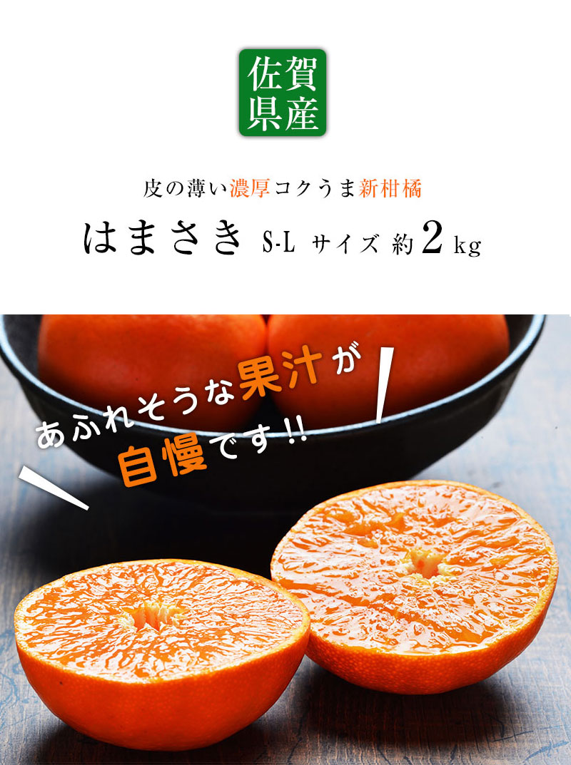 送料無料 佐賀県産 唐津 はまさき S-Lサイズ 約2kg みかん 佐賀