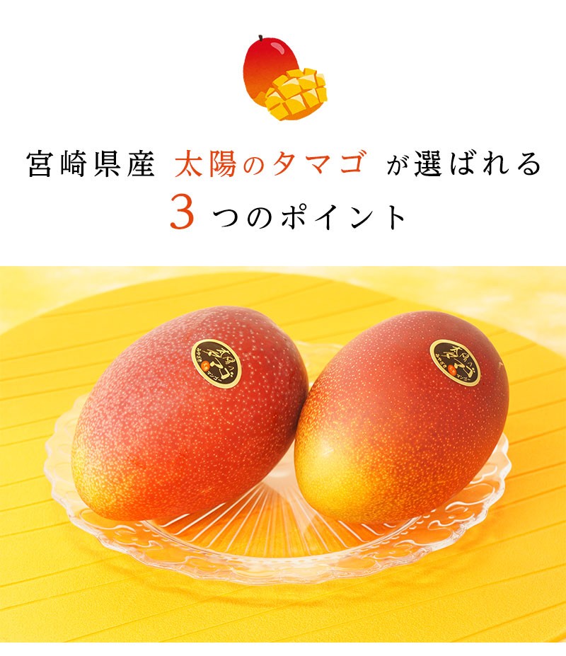 宮崎県産 太陽のタマゴ（完熟マンゴー）3Lサイズ 2玉 約900g〜1kg : 街