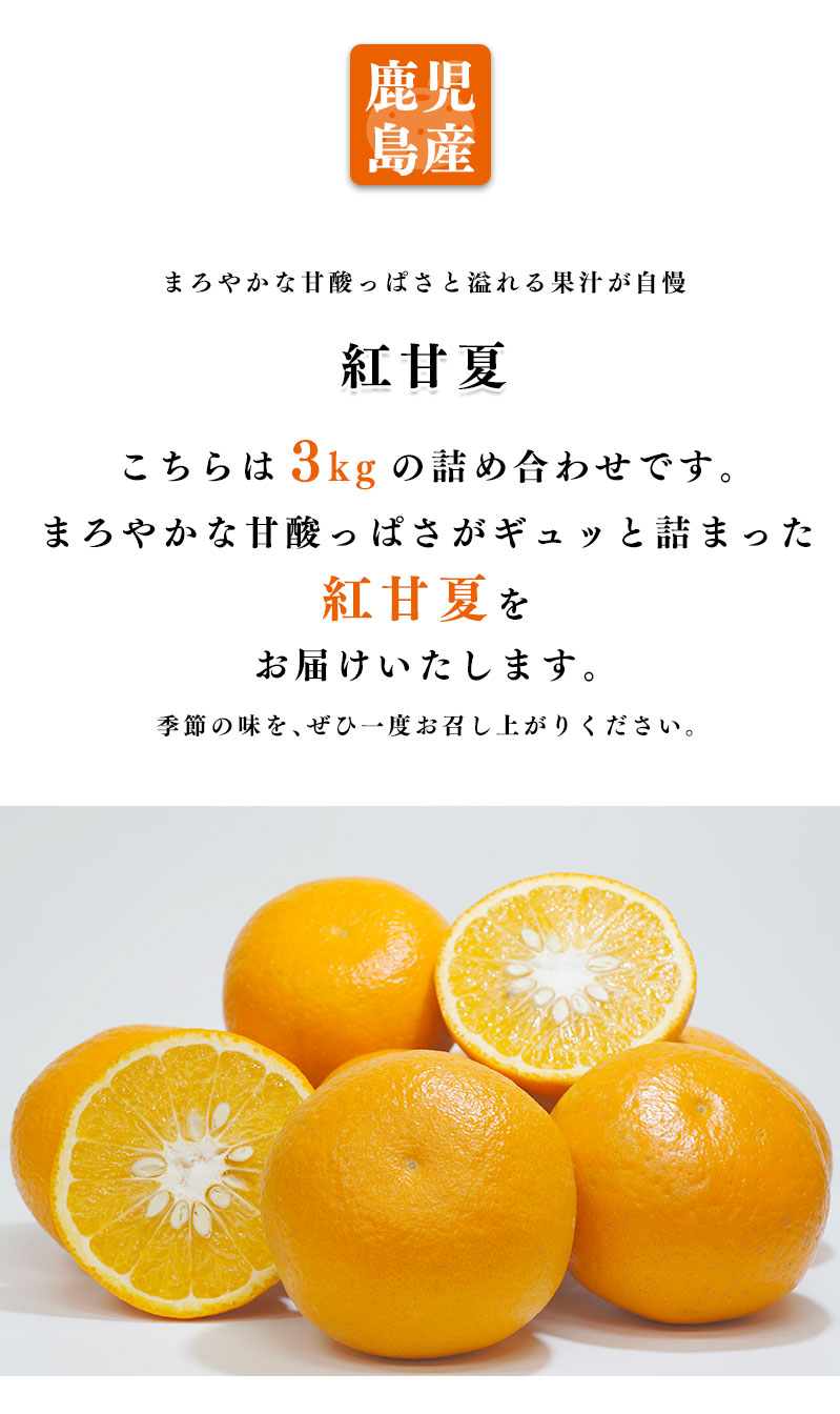 がんもさま専用出品 紅甘夏 3年生 結実実績あり！ 柑橘 雑柑類 紅甘夏の販売 苗木部 By 花ひろばオンライン