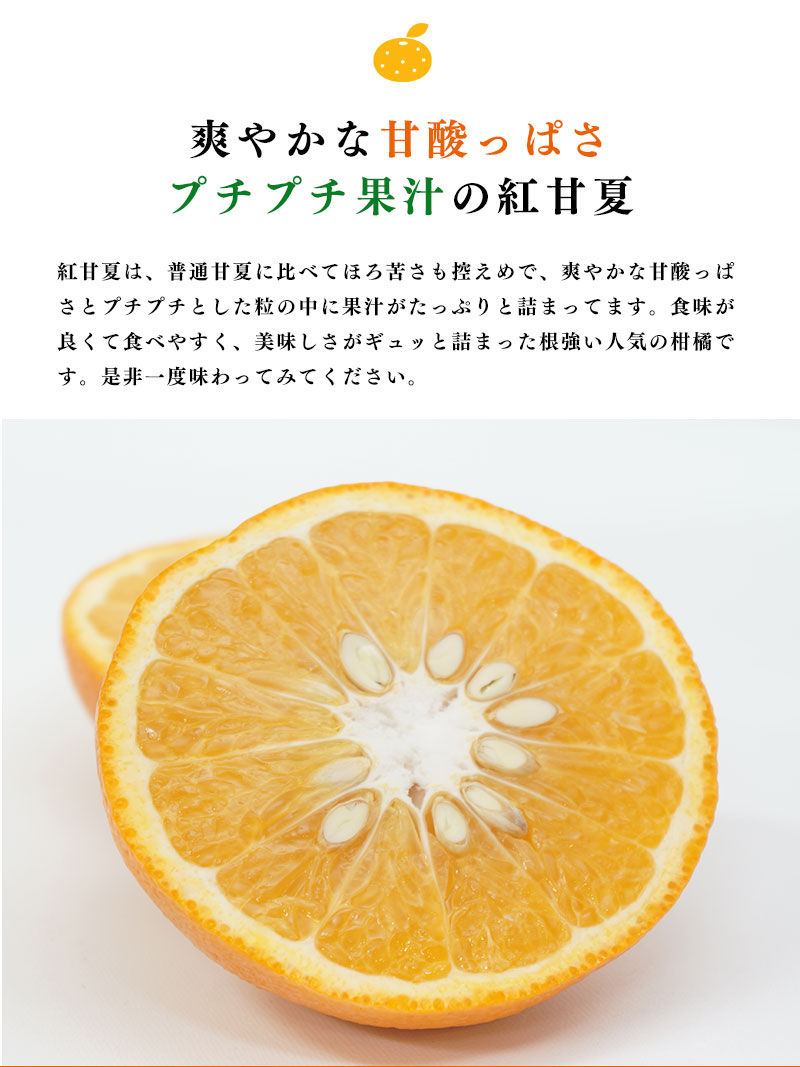 送料無料 鹿児島県産 紅甘夏 7-10玉 約3kg 甘夏みかん 甘夏 贈答用