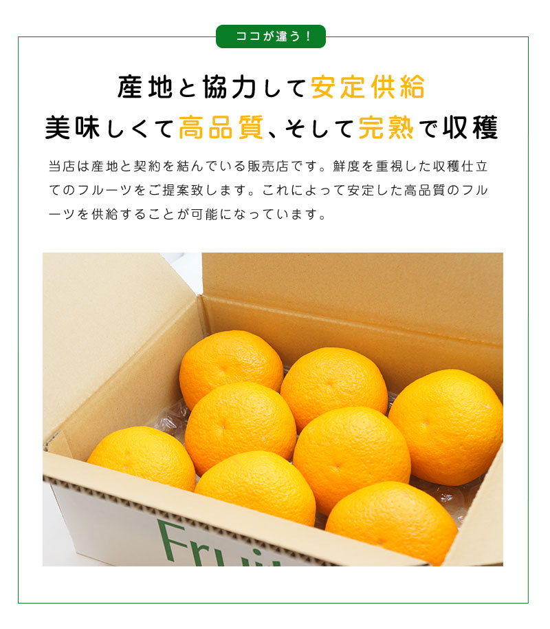 送料無料 鹿児島県産 紅甘夏 7-10玉 約3kg 甘夏みかん 甘夏 贈答用