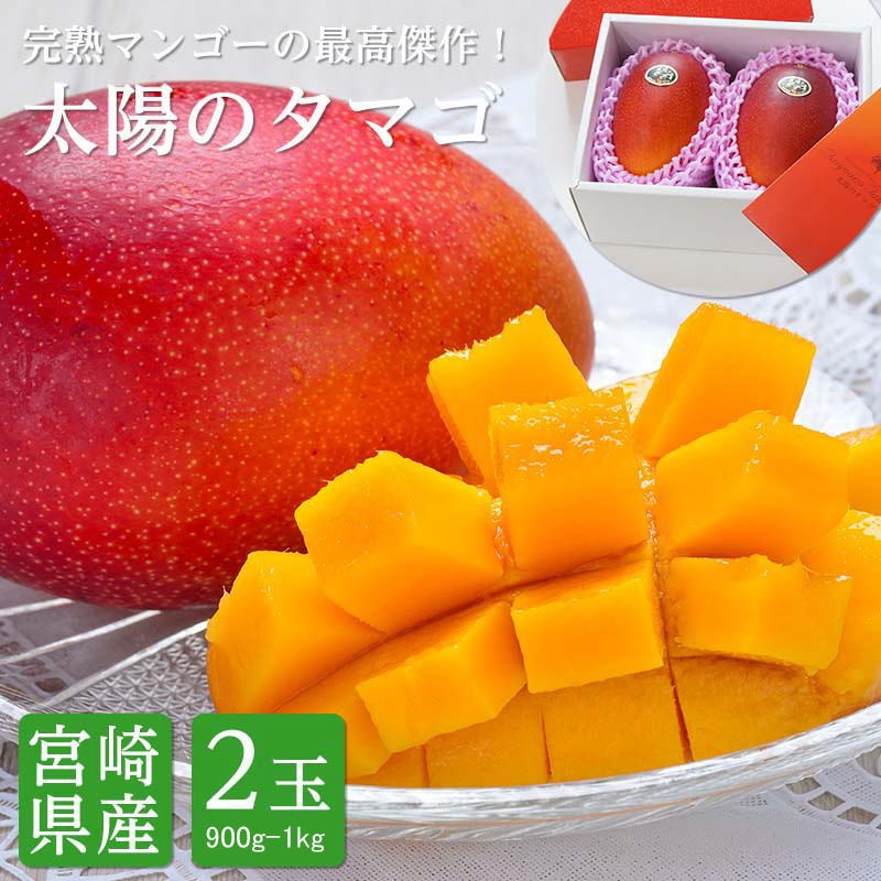 宮崎県産 太陽のタマゴ（完熟マンゴー）3Lサイズ 2玉 約900g〜1kg
