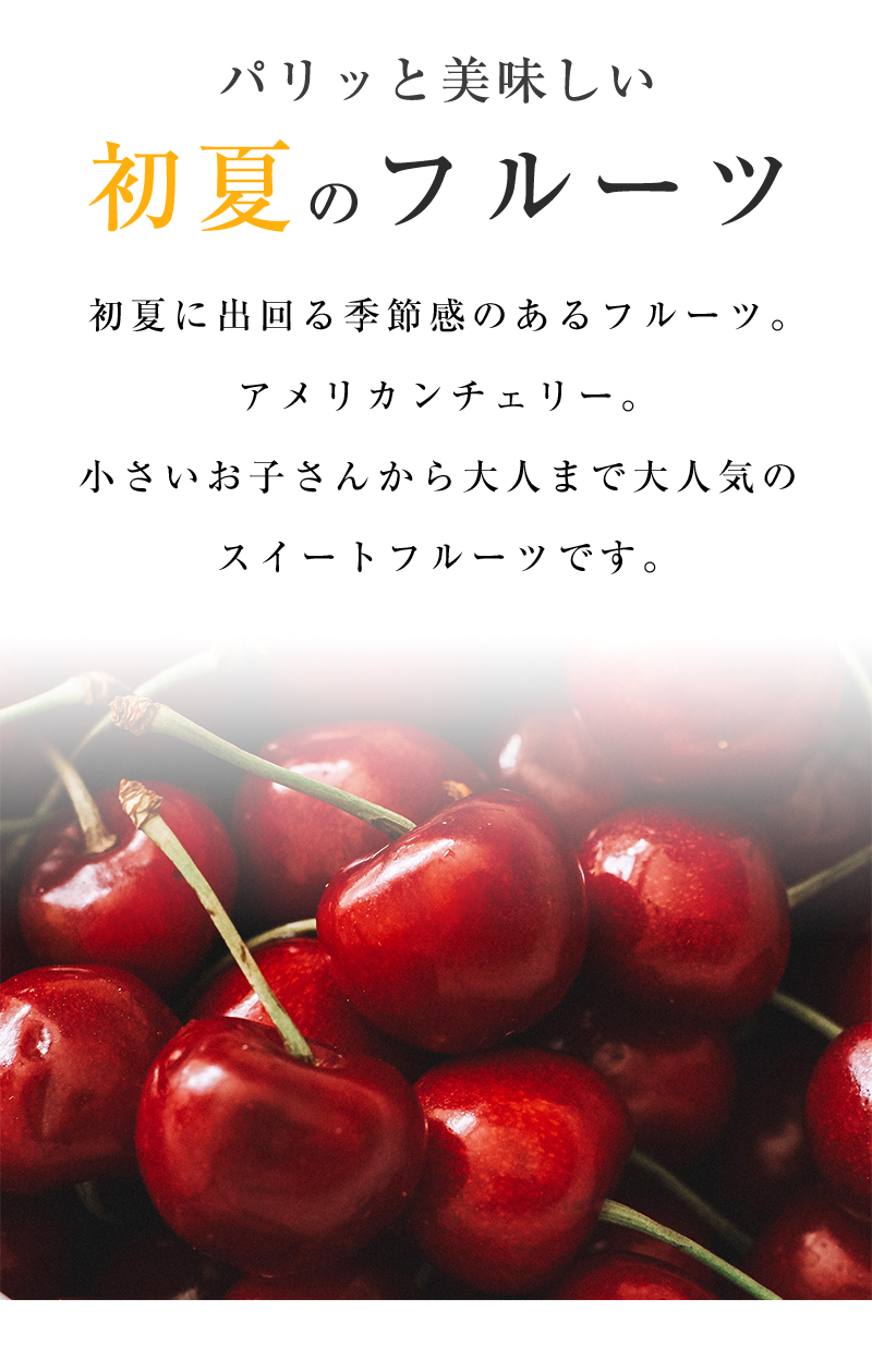 10000131_page_04.jpg