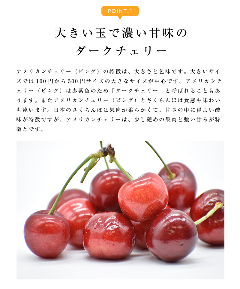 アメリカンチェリー　クール便 10000131_page_12.jpg
