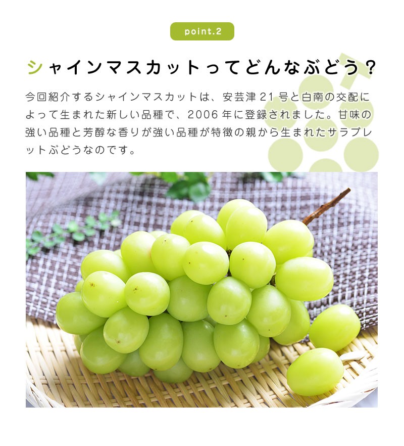 メーカー再生品】 皮ごと食べれる 長野県産 シャインマスカット 1房 約550g〜600g マスカット 種なし dobrenocki.pl