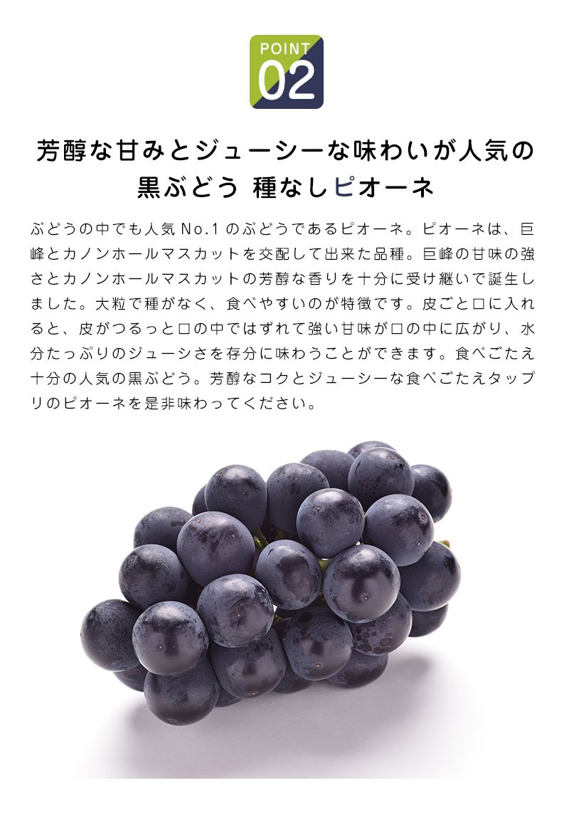 100%正規品 食べ比べセット 山梨 岡山県産 シャインマスカット 種なしピオーネ 約1.1-1.2kg 2房 ぶどう フルーツ詰め合わせ 