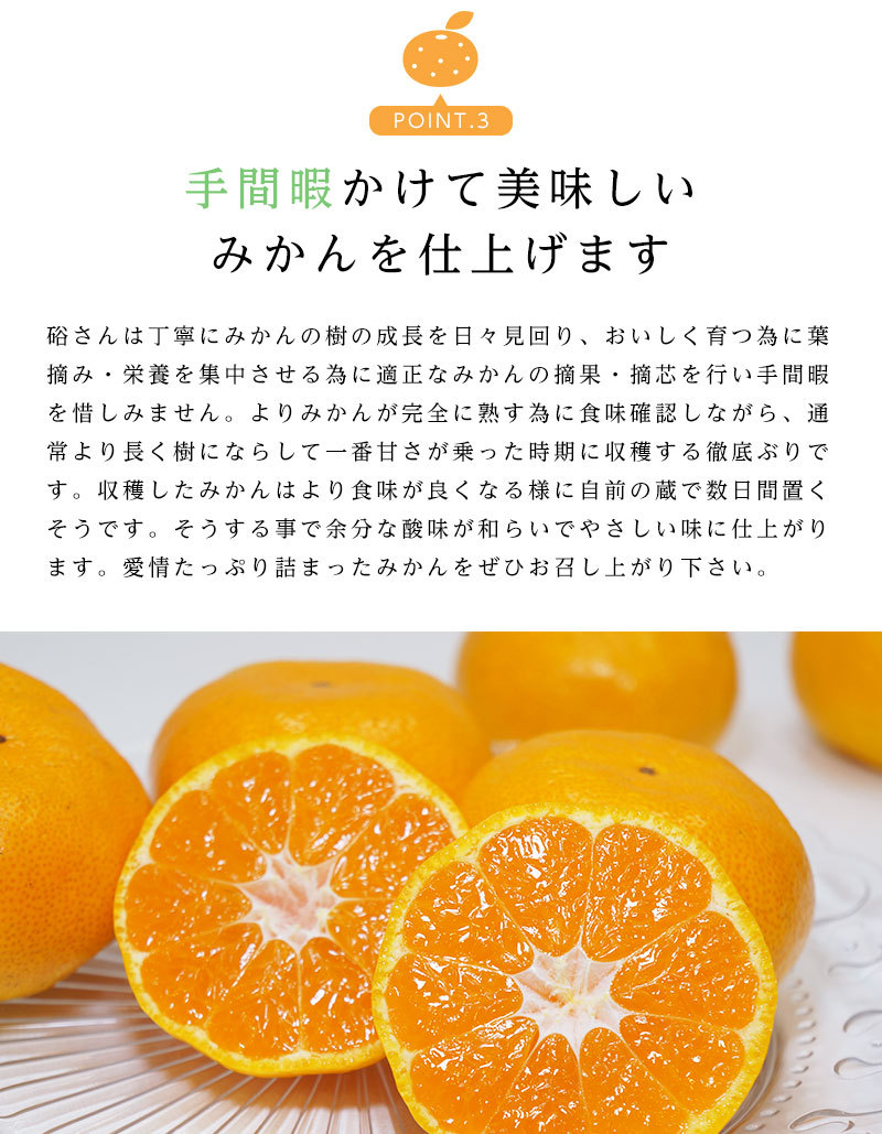 送料無料 和歌山県産下津 硲 みかん Lサイズ 約2.5kg 和歌山 2.5
