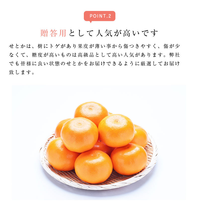 期間限定販売価格】送料無料 佐賀 愛媛県産 せとか 8-13玉 約2.5kg