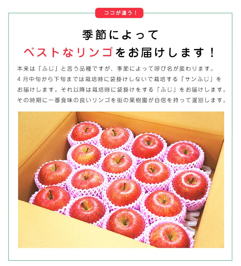 高糖度 サンふじ りんご 青森 8-11玉 約3kg サンふじりんご 3kg 高糖度 サンふじ りんご 青森 8-11玉 約3kg サンふじりんご 3kg