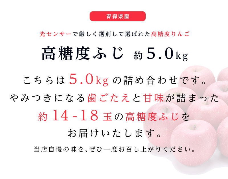高糖度 サンふじ りんご 青森 14-18玉 約5kg サンふじりんご 5kg