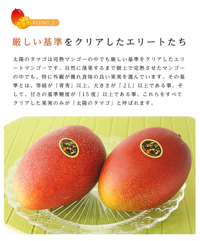 宮崎県産 太陽のタマゴ（完熟マンゴー）3Lサイズ 2玉 約900g〜1kg : 街