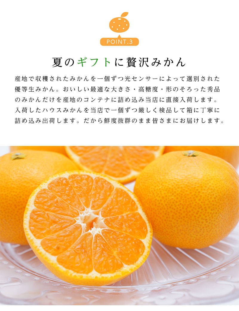 送料無料 佐賀県産 唐津 ハウスみかん S-Mサイズ 約2.2kg みかん 糖度
