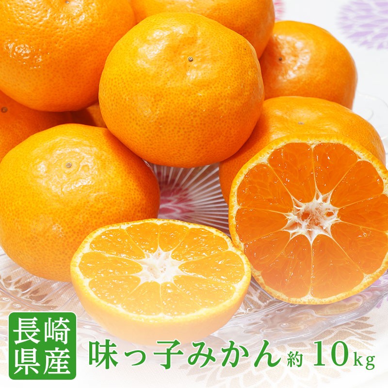 みかん 味っ子みかん 長崎 西海 2S 約10kg 高糖度 小粒 小玉 ミカン 味