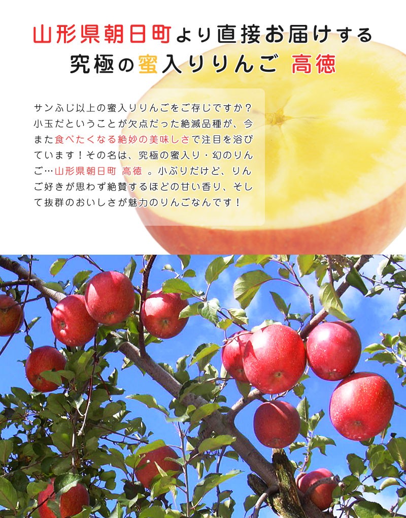 りんご 高徳りんご 山形 朝日町 4‐6玉入 約1.0kg 蜜入りりんご こう
