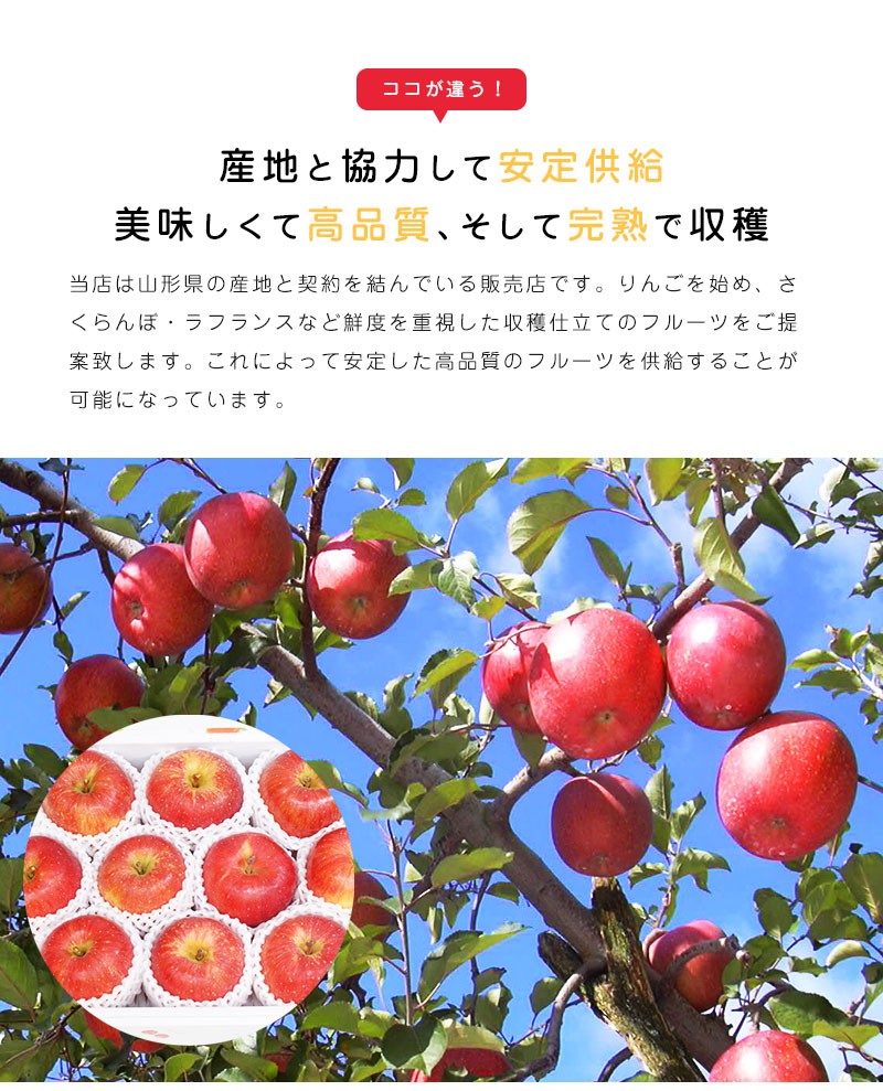 【ミミさま専用】山形県朝日町産・蜜入りりんご（大小混合・訳あり）35-45玉 ご家庭用＆訳あり】蜜入りりんご◡̈ 高徳【こうとく】 ｜ 果物/りんご