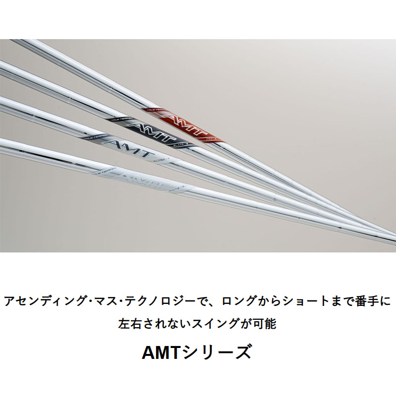TRUE TEMPER（トゥルーテンパー） AMT BLACK ブラック アイアン用