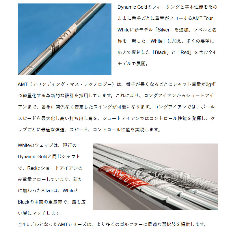 TRUE TEMPER（トゥルーテンパー） AMT BLACK ブラック アイアン用