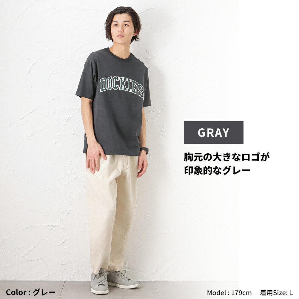 Dickies ディッキーズ 半袖Tシャツ メンズ 綿100% ロゴ バックプリント 刺繍 クルーネック カットソー おしゃれ ブランド 人気  トップス ネコポス対応