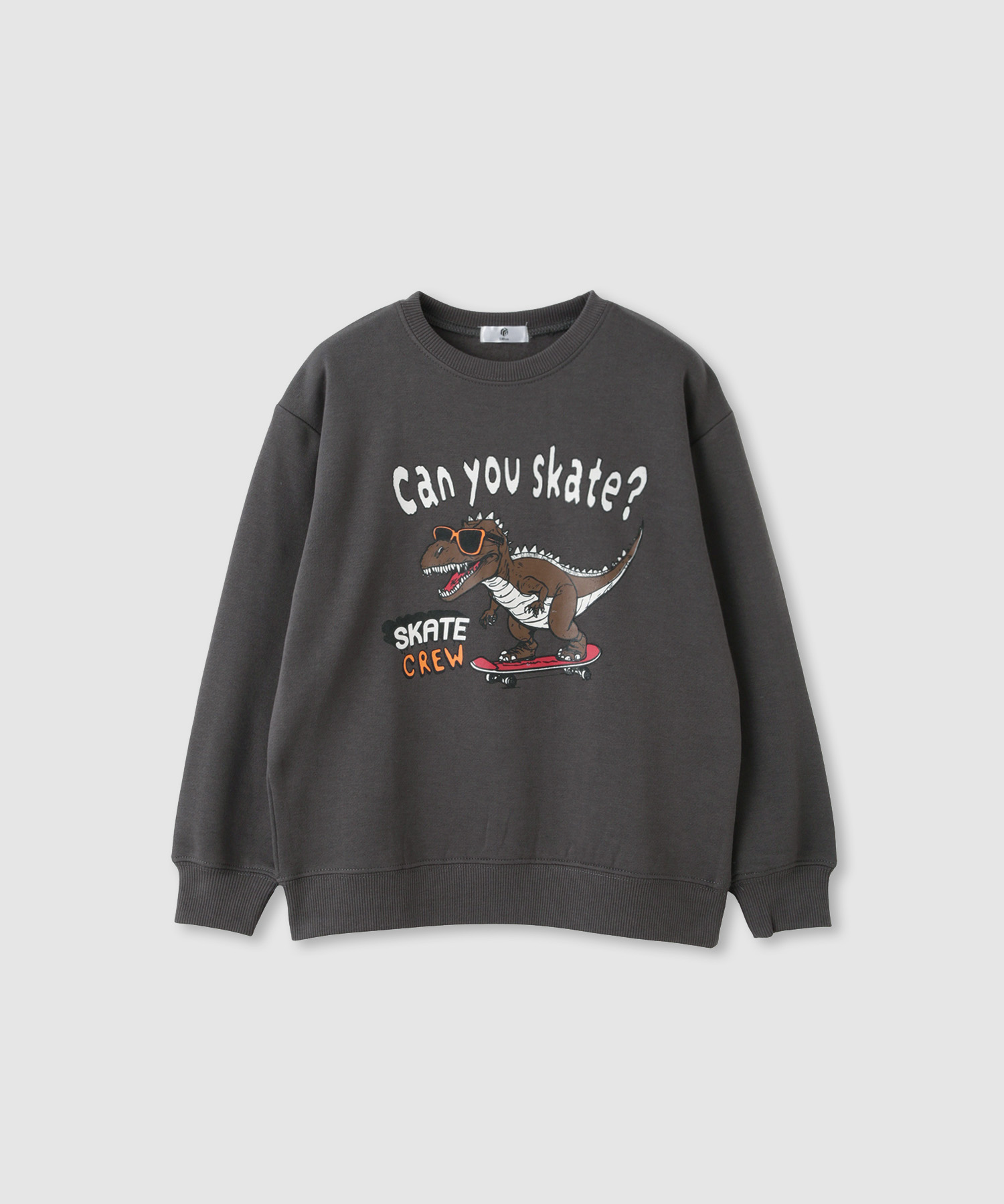 裏起毛 トレーナー 子供服 男の子 キッズ スウェット 暖かい 恐竜