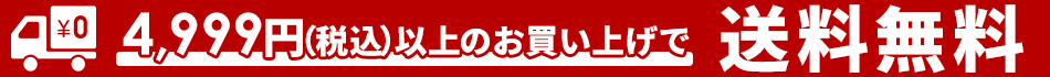 4999円以上で送料無料