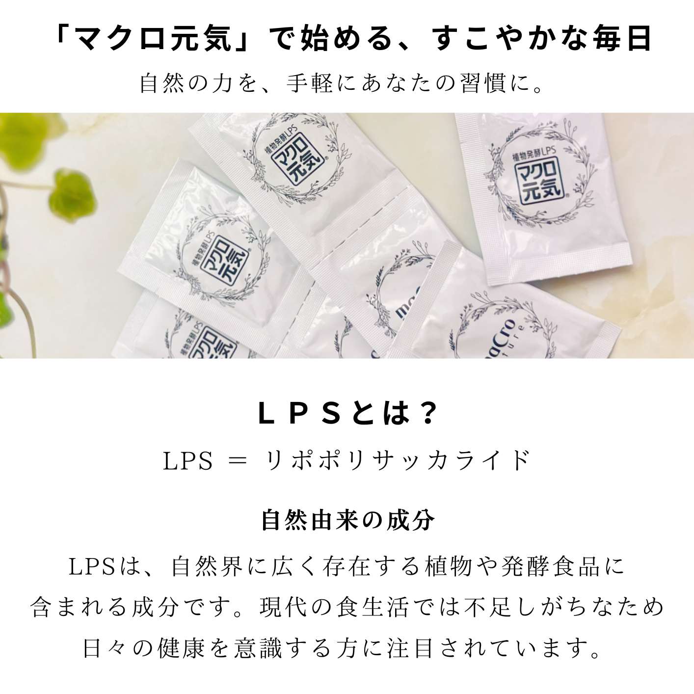 LPSマクロ元気オンラインショップ - Yahoo!ショッピング