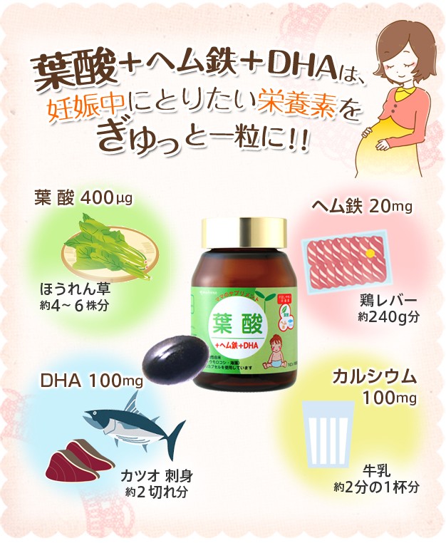 葉酸説明1