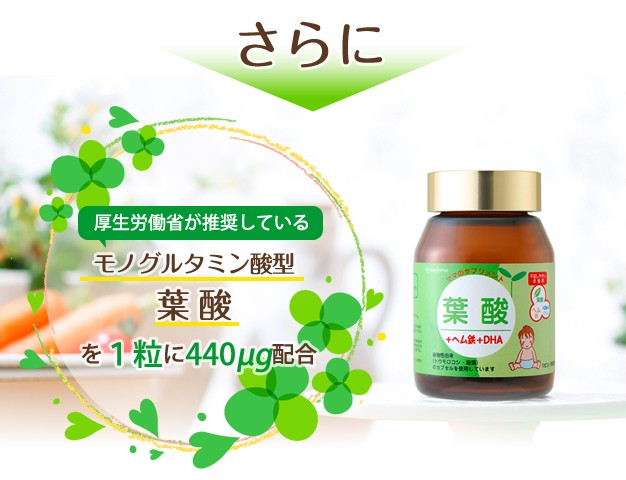 葉酸説明1