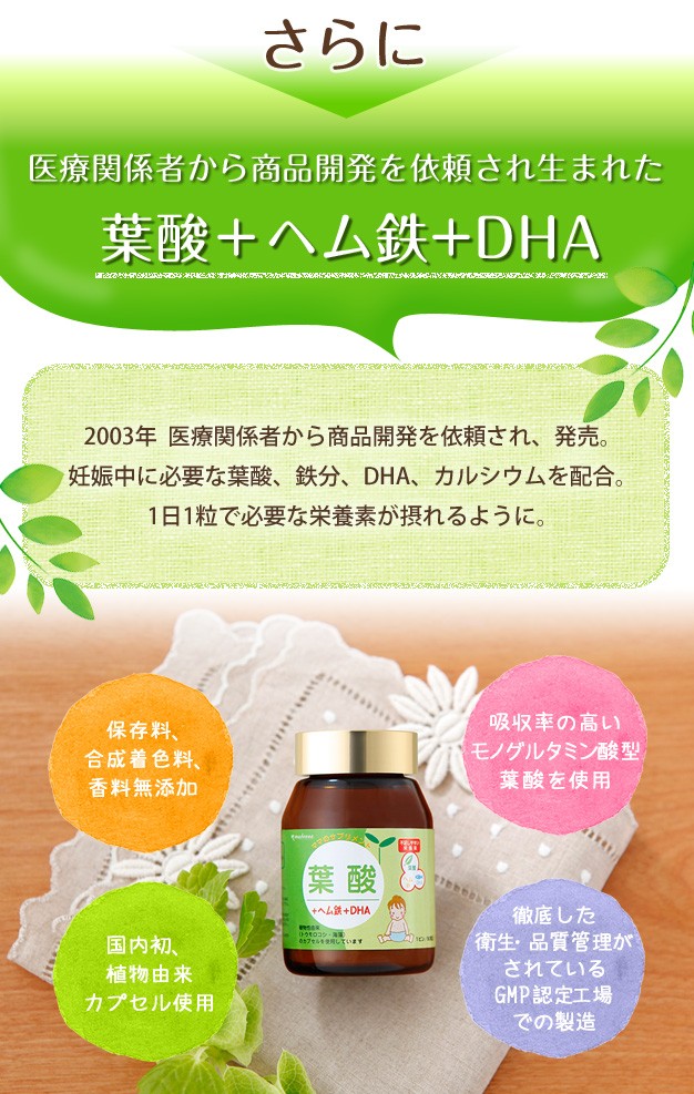 葉酸説明1