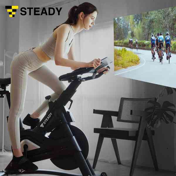 STEADY スピンバイク Pro エアロバイク フィットネスバイク 家庭用 ST142