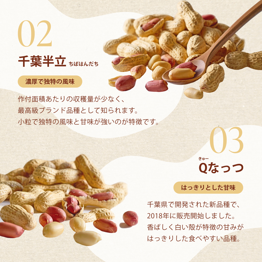 落花生 煎り落花生 Qナッツ 俵農園 訳あり 千葉 おつまみ 自然食品