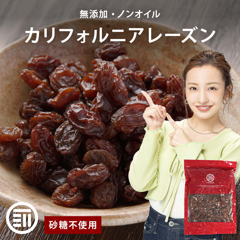 MAEDAYA 前田家 レーズン ノンオイル 前田家 無添加 カリフォルニア