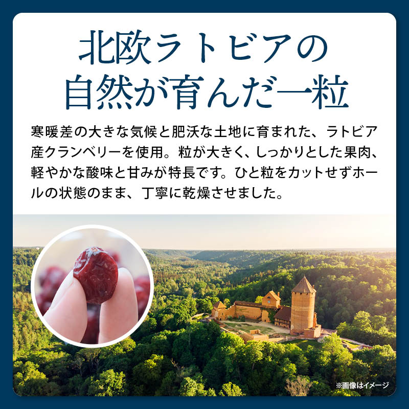 ドライフルーツ クランベリー ラトビア産 90...の詳細画像3