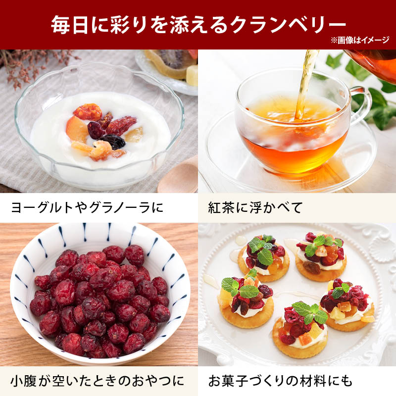 ドライフルーツ クランベリー ラトビア産 90...の詳細画像5