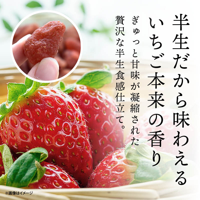 いちご ドライフルーツ 半生 イチゴ 苺 27...の詳細画像2